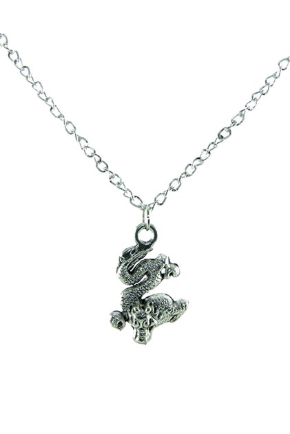 Women's Hard Plastic Silver Color Dragon Necklace