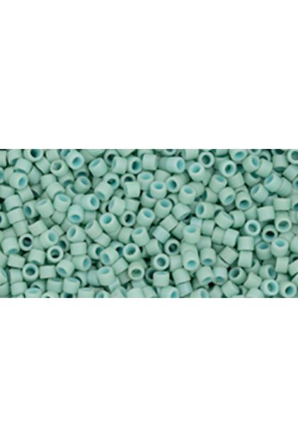 Japanese Glass Bead Treasure 11/0 Tt-1612F