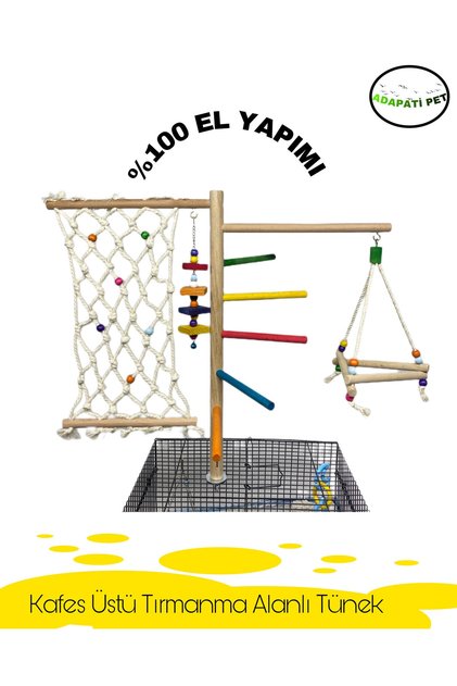 Sultan, paradise,sevda and Forpus Parrot, Cage Top Parkour with Budgie Toy
