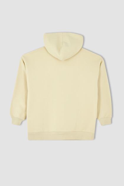 Oversized Wide Fit Hooded Thick Basic Plain Sweatshirt (23 Wn)