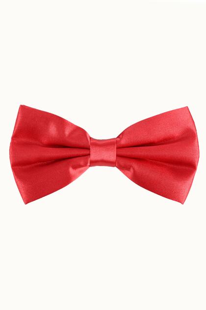 Papion din satin pentru bărbați cu flori de rodie 111