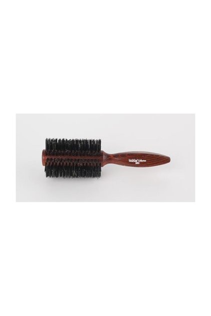 Collection Professional Hair Brush 2004