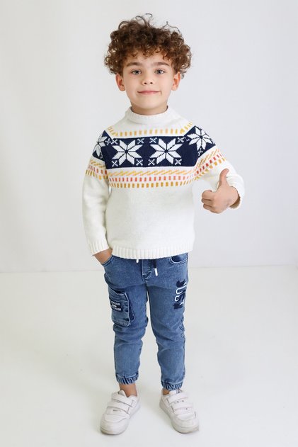 Boy's Regular Fit Crew Neck Knitwear Sweater