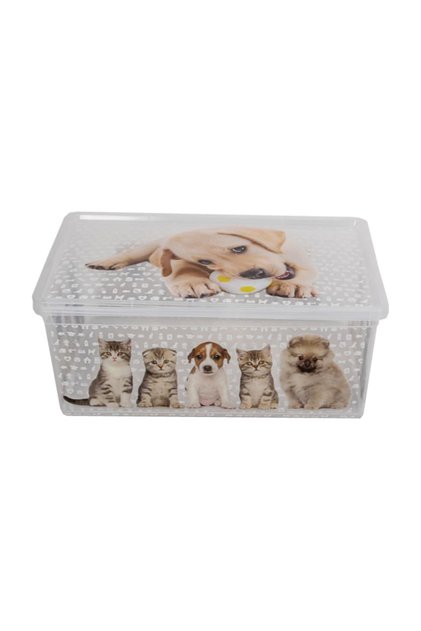 Light Box Cats and Dogs Transparent Decorative Storage and Toy Box - 10 Liters