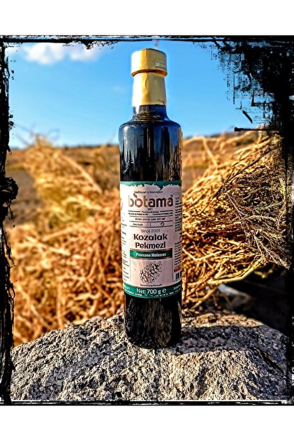 Biotama Çam Kozalağı Pekmezi 700 G %100 Doğal - Fiyatı, Yorumları