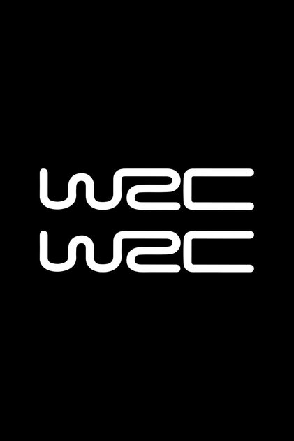 2 Pieces Wrc Fıa Rally Rearview Mirror Sticker 15x3 cm