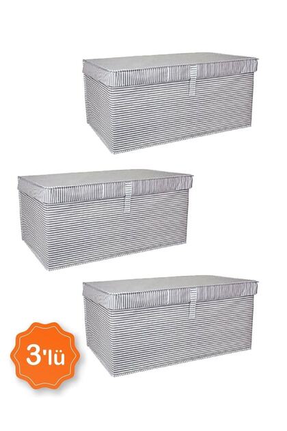 ALAS 3'lü Kapaklı Çok Amaçlı Hurç, Kutubaza Vb. 50x40x30 - Maxi