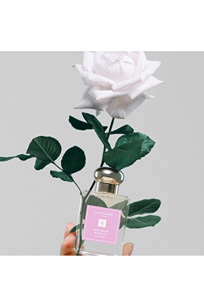 Jo Malone London Rose Water Vanilla Cologne 50 Ml - Fiyatı, Yorumları