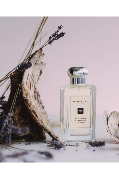 Jo Malone London Silver Birch & Lavender Cologne 30 Ml - Fiyatı