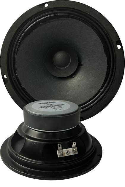 AYN-6 Full Kağıt 100 Watt 8 Ohm 16 cm 6 İnç Hoparlör (Adet)
