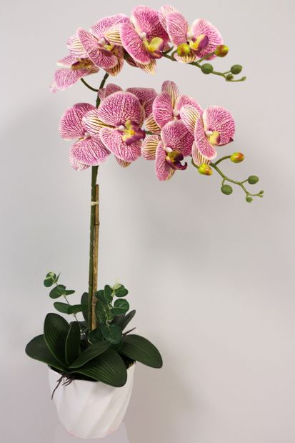 Yapay Çiçek Deposu Yapay Çiçek Melamin Saksıda 2Li Orkide Tanzim Fuşya Benekli 75 Cm - 1