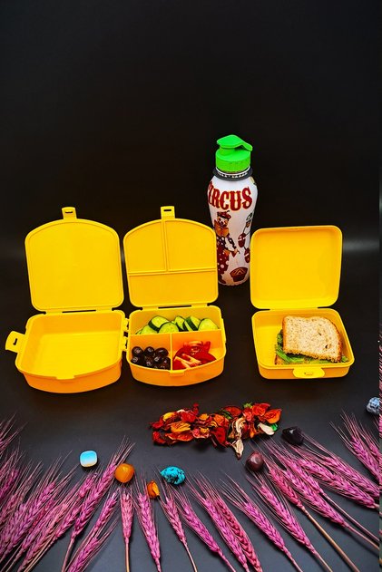 Lunch Box 4 Compartments 2 Layers and Sandwich Box 500 Cc Water Bottle 3-Piece Feeding Set Antibacterial