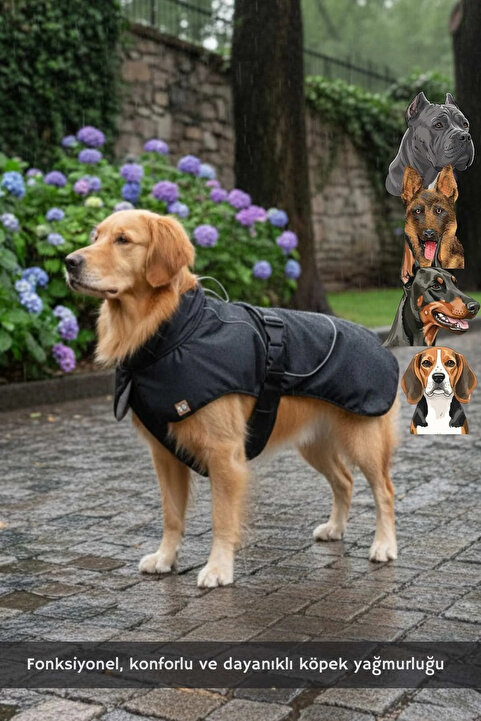 salya store Köpek Kıyafeti, Büyük Irk Köpek Yağmurluğu, Su Geçirmez Köpek Montu, Siyah 9-55kg