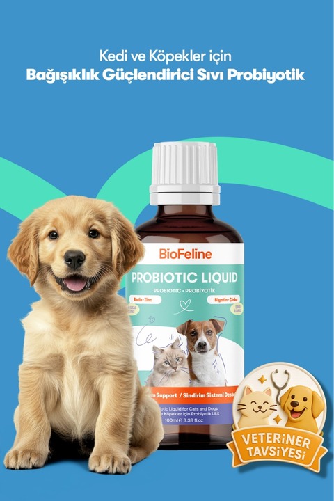 BioFeline Kedi ve Köpekler İçin Sıvı Probiyotik 100 ml – Prebiyotik Destekli, Sindirim ve Bağırsak Florası Desteği | Köpek Probiyotik | Probiyotik Damla | Pet Probiyotik