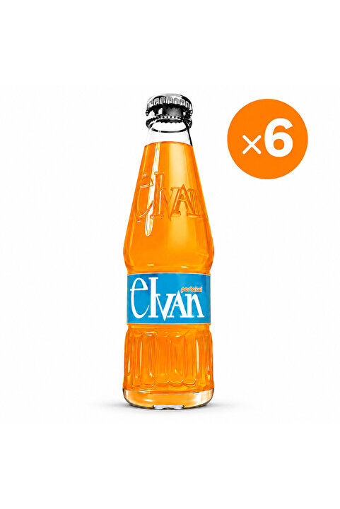 Elvan Gazoz Portakallı 250 ml 6 lı Paket Cam Şişe