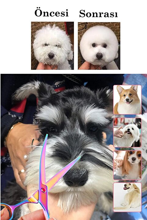 Uniquem Rainbow Kavisli Köpek Kedi Evcil Hayvan Petshop Makası Saç Şekil Verme Makası XLQ510