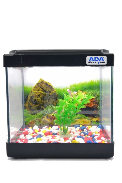 ADA AKVARYUM Mini Akvaryum Siyah 20x20x15 Akvaryum Renkli Çakıl Plastik Bitki Arka Fon