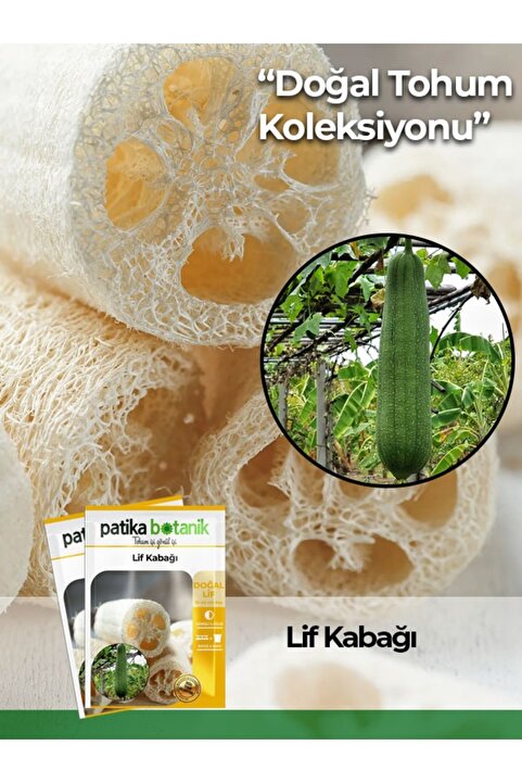 Patika Botanik 5 Adet Lif Kabağı Tohumu Kabak Tohumu (Luffa Aegyptiaca)