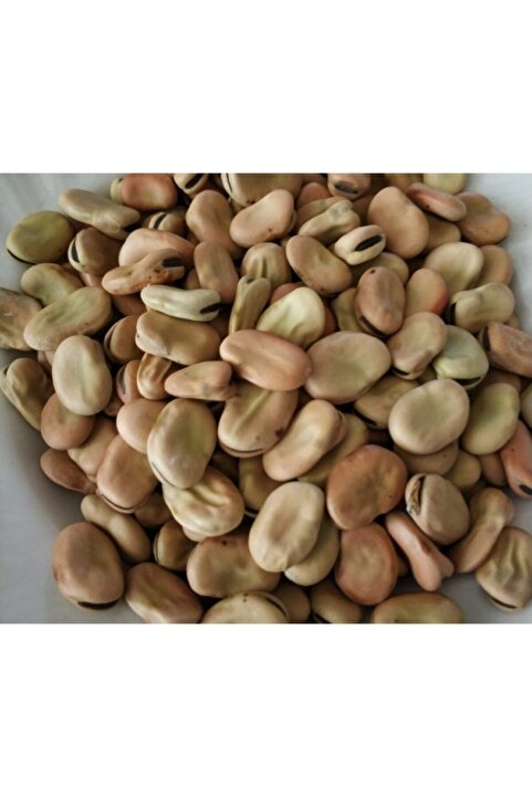 Genel Markalar Kuru Bakla 1 Kg