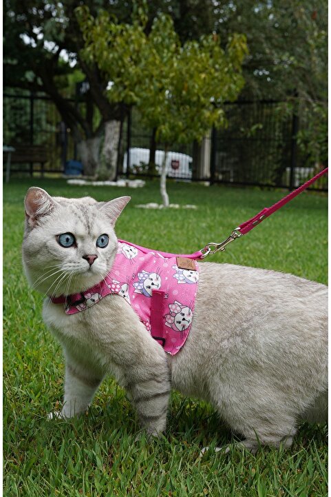 Patipatron Kaçış Önleyici Kedi Gezdirme Tasması Ve Küçük Irk Köpek Gezdirme Tasması