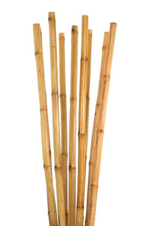 Ersa Hediyelik Bambu Bitki Destek Çubuğu 200 Cm 6'lı