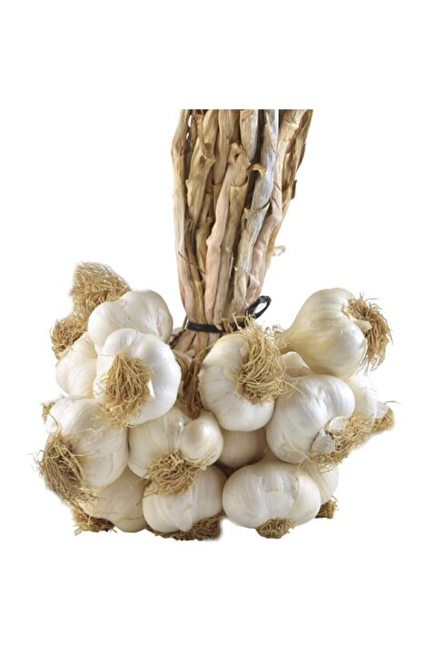 Genel Markalar Yeni Sezon Kastamonu Taşköprü Sarımsağı 1 Kg Iri Boy