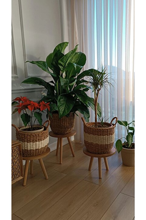 Evnalia 3'lü Ahşap Ayaklı Çiçeklik Saksılık Standı Dekoratif Yan Sehpa Seti 25 Cm Çap Atlantik Çam