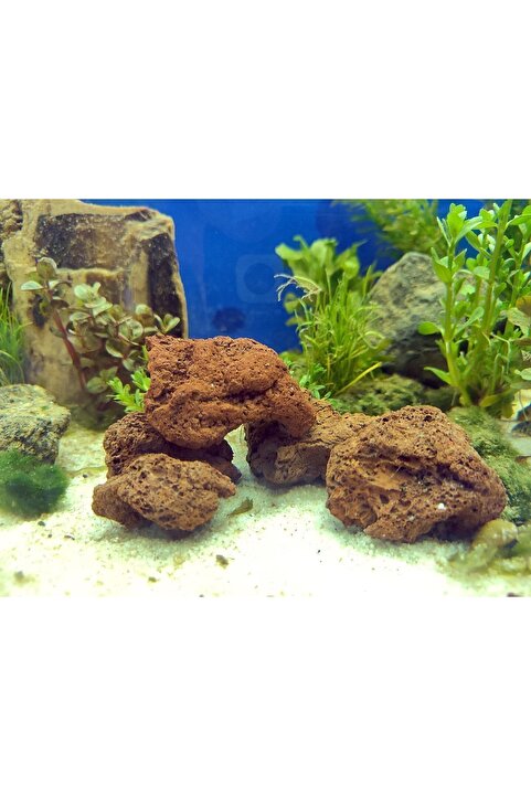 IdMuDecoration Turuncu Doğal Lav Kayası 4 Adet 5-7 Cm - Akvaryum Dekor Kayası