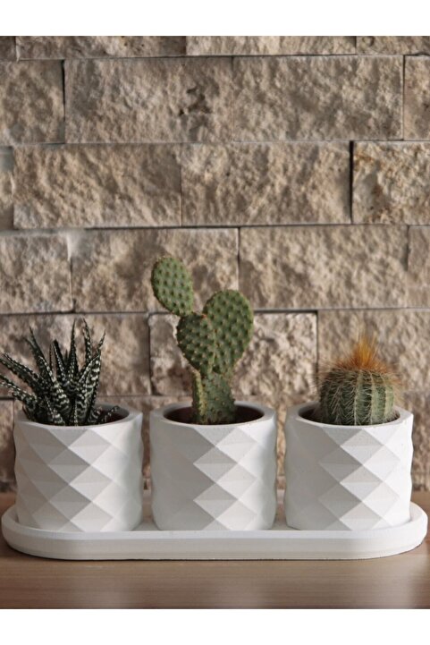 stonnish Prizma Sukulent Saksı Oval Tabaklı 3'lü Set Dekoratif Hediyelik Ham Beyaz