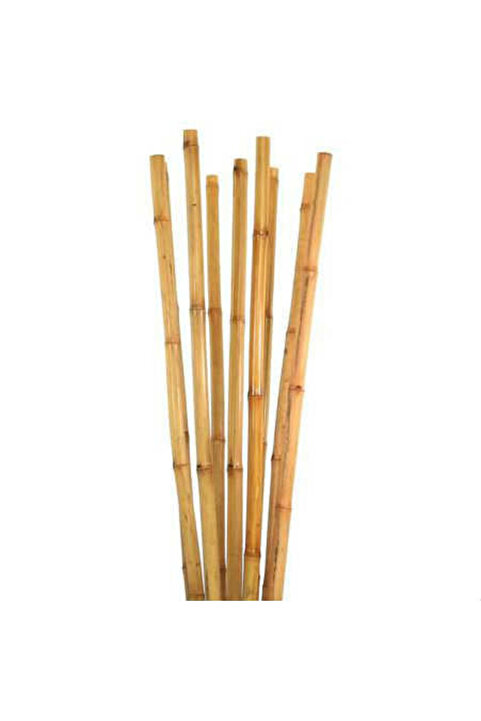 Genel Markalar BAMBU BİTKİ DESTEK ÇUBUĞU 75 CM 10 ADET