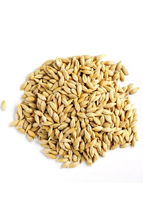 Genel Markalar Doğal Tane Arpa Tohumu Yemlik 1 kg
