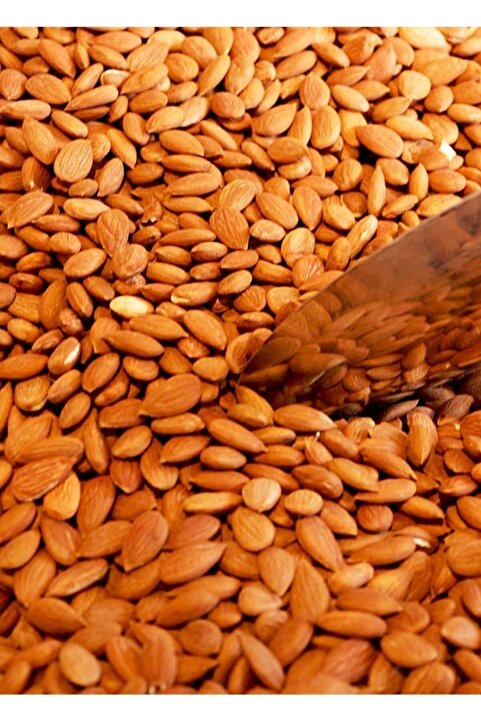 Genel Markalar Acı Kayısı Çekirdeği 500 gr / Yarım Kg
