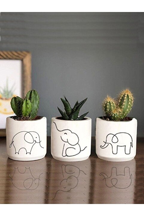 Dekozayn Home Fil Desenli Beton Saksı Üçlü Set- Küçük Boy Sukulent Saksısı Çizim Bereket Hediyelik