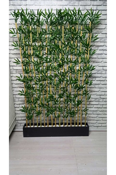 ERHAN FLOWERS 100 Cm Saksida 160 Cm.boy 15 Adet Bambu Speratör