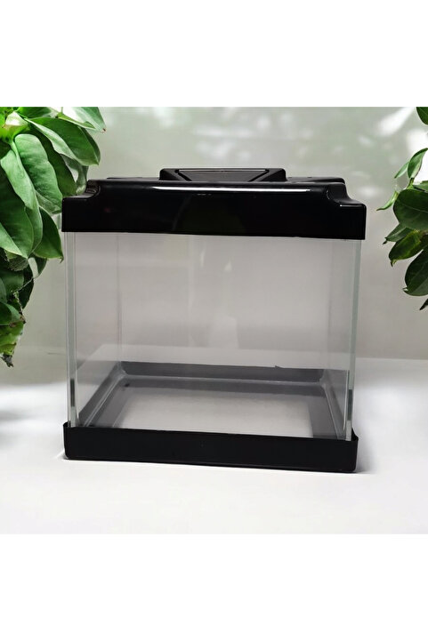 ErtargınShop Kare Mini Akvaryum Karışık Renklerde Gönderilmektedir.