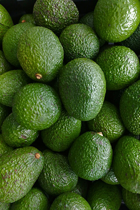 Naturanya 2 Kg Avokado — (15 ILA 20 ADET) Mini Boy Bebekler Için (ADET 100 GR KADAR)