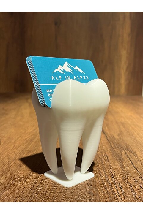 Alp in Alpes DİŞ HEKİMİ MASA ÜSTÜ DİŞ KARTVİZİTLİK