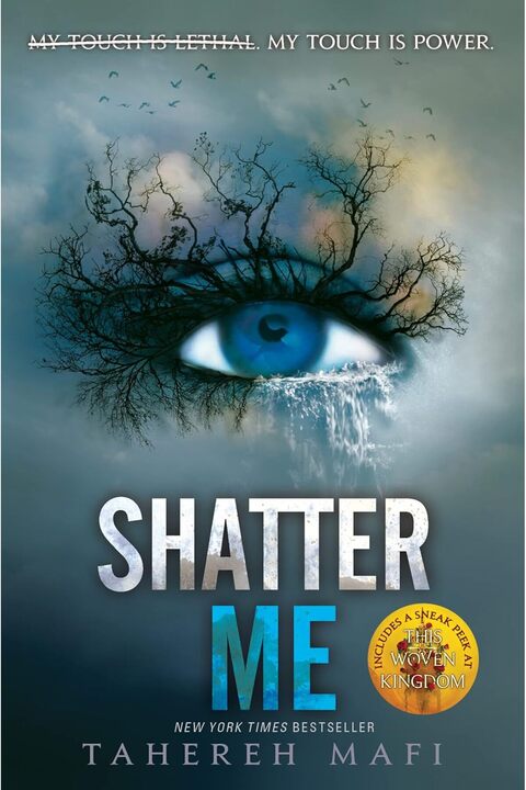 Electric Monkey Shatter Me