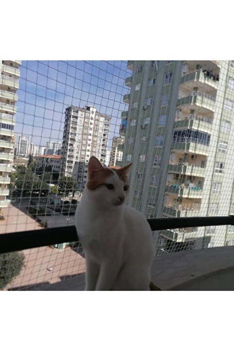 KONAK FİLE Kedi Filesi, Balkon Koruma Filesi 2.5metrex4metre