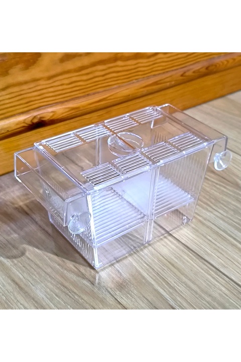 Kotenart Tİ-SERT Aquawe Çift Bölmeli Lepistes Canlı Doğuran Balık Yavruluğu Fish Breeder Box