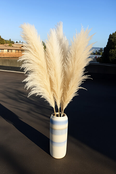 Genel Markalar Demet Pampas grass ithal pofuduk dökülmeyen cins 5'li Bej 101 - 125