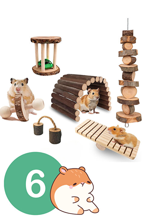 Alyones Doğal Ahşap Kemirgen Seti (6 Parça) - Hamster, Gine Pig, Tavşan, Çinçilla için Kafes Aksesuarları
