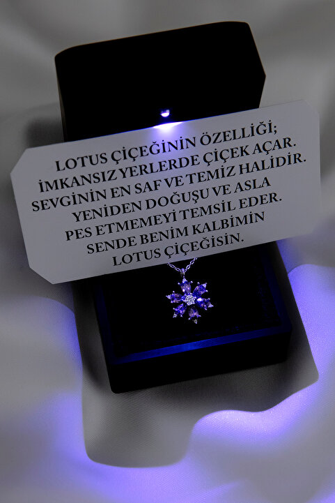 SARIASLAN Rodyumlu Işıklı Kutuda Ametist Taşlı Lotus Kolye 925 Ayar Komple Gümüş