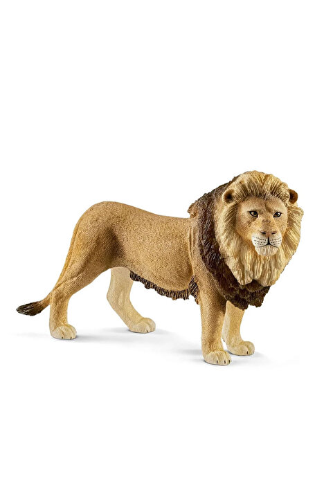 Schleich Erkek Aslan 17107
