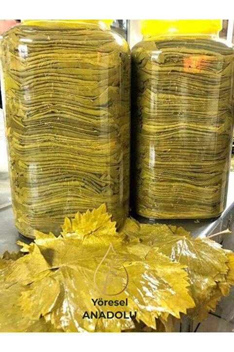 YÖRESEL ANADOLU TOKAT 2025 MAHSÜL Damarsız Asma Üzüm Yaprağı 5 KG Salamura (Tokat Üzüm Yaprağı)