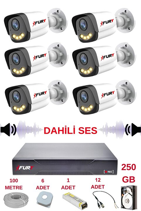 FURY 6 lı Sesli Gece Renkli Görüş Güvenlik Kamerası Su Geçirmez Güvenlik Kamerası Seti 5590s 250GB