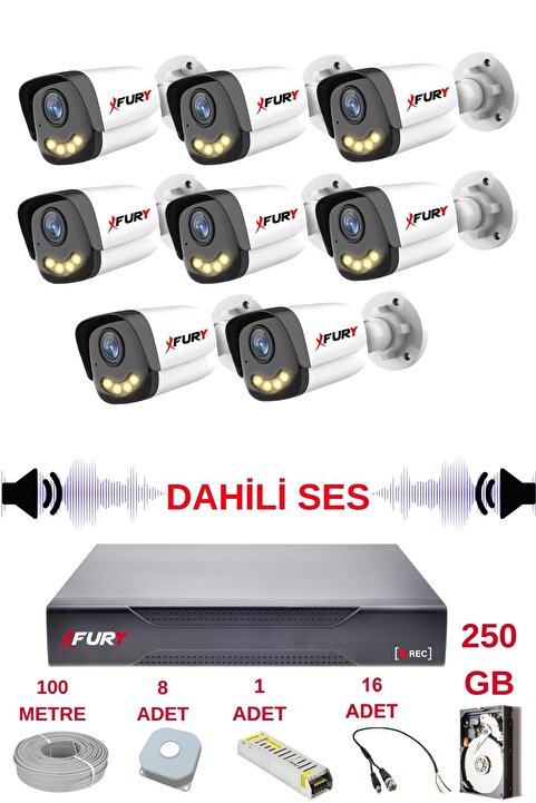 FURY 8 li Sesli Gece Renkli Görüş Güvenlik Kamerası Su Geçirmez Güvenlik Kamerası Seti 5590s 250GB