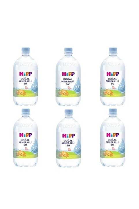 Hipp Doğal Mineralli Su 1 Lt x 6 Adet