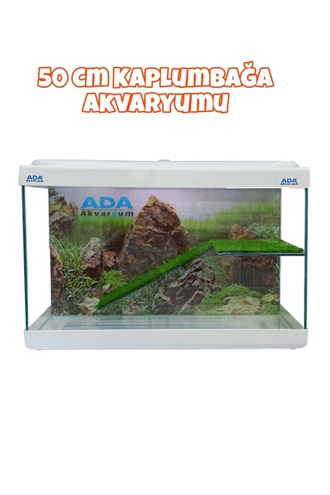 ADA AKVARYUM Su Kaplumbağası Akvaryumu Bahçeli Rampalı Dinlenme 50x30x20 Cm Arka Plan Hediyeli
