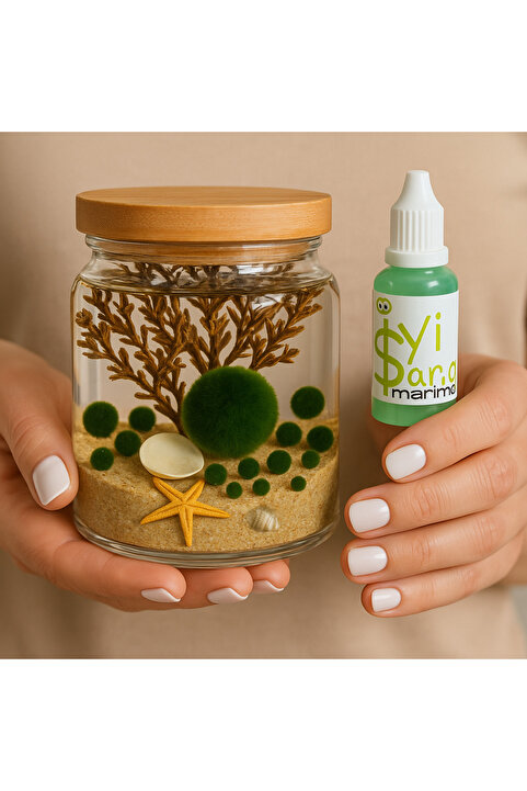İyişans Marimo Special 5 Baby ve 1 Anne Japon Şans Yosunu Teraryumu Marimo Feeder Hediyeli